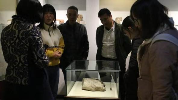 6d38e05942058ab0871749160cc28d3